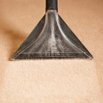 How Can I Deep Clean My Carpet Myself?