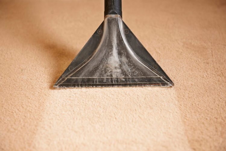 How Can I Deep Clean My Carpet Myself?